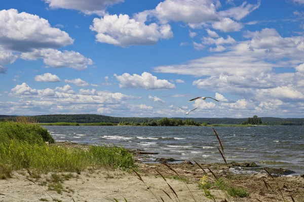 Dia Verão Ventoso Ondas Lago Abaixo Céu Azul Com Nuvens — Fotografia de Stock