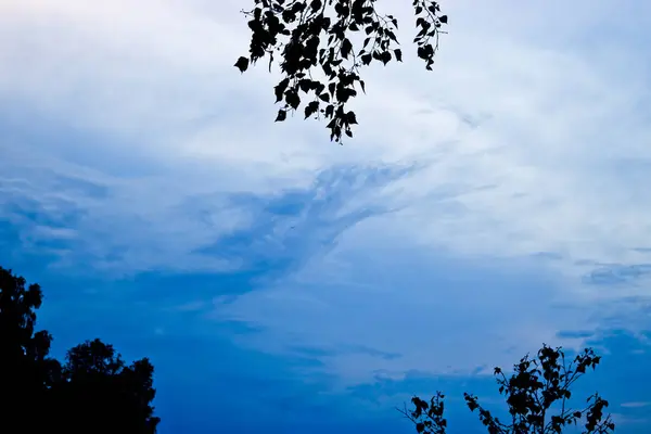 Mavi Akşam Gökyüzünde Olağandışı Şekil Bulutlar — Stok fotoğraf