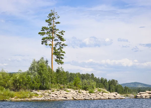 Pino Solitario Una Isla Rocosa Medio Del Lago Superficie Del — Foto de Stock