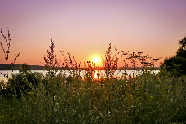 Pôr Sol Colorido Sobre Lago Primeiro Plano Grama Motley Alta — Fotografia de Stock