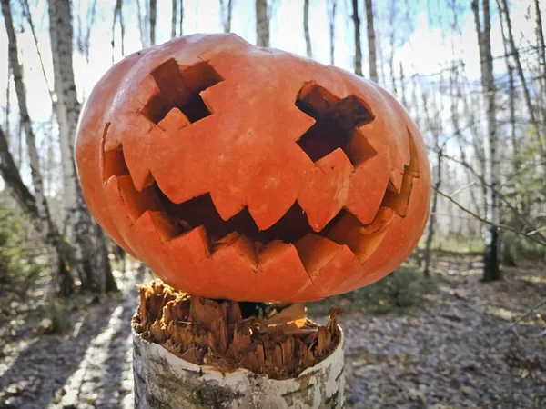 Halloweenpompoen Een Stomp Het Bos Horror Festival Het Najaar Bos — Stockfoto