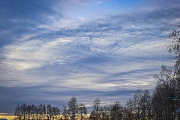 Ovanligt Upplysta Cirrusmoln Över Vinterskog Träd Med Kala Grenar — Stockfoto