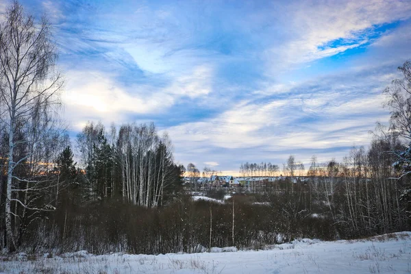 Ovanligt Upplysta Cirrusmoln Över Vinterskog Träd Med Kala Grenar — Stockfoto