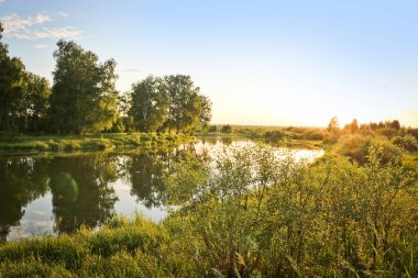 Yaz arkaplanı - huş ağaçlarının arasında sakin bir nehir, nehrin üzerinde gün batımı. Yaz manzarası, su yüzeyi.