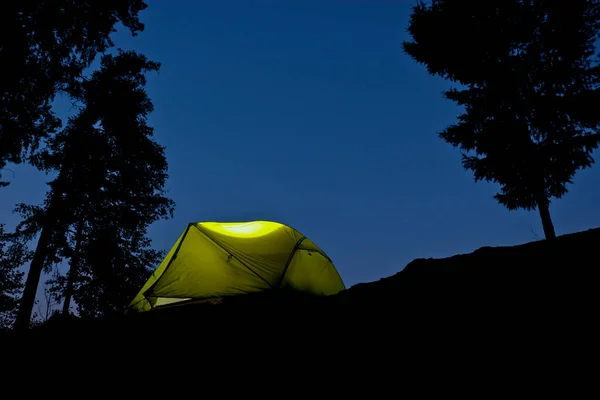 Das Zelt Leuchtet Der Nacht Zelten See Einem Kiefernwald Romantische — Stockfoto