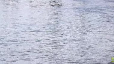 Yaz arkaplanı akan suyun yüzeyi. Dalgalı nehir. Seçici odak.