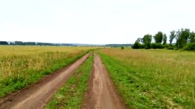 Çayırların ve huş ağaçlarının arasında bir yol üzerinde bisiklet sürmek. Direksiyonla video çekimi. Bisiklet konsepti, çevre turizmi, sürüş.