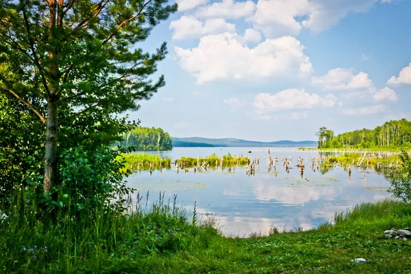 Sommerlandschaft Sumpfige Bucht Mit Überfluteten Bäumen See Turgojak Südural Russland — Stockfoto