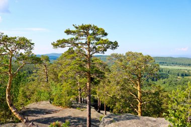 Chashkovsky sırtından ovayı ve çam ormanlarını görüyorum. Ural dağları. Çevre turizmi ve yürüyüş konsepti.