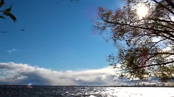 El avión de pasajeros vuela sobre el lago. Un fuerte viento balancea las ramas de sauce, levanta una ola en el lago. Mal tiempo. El ciclón será reemplazado por el anticiclón. — Vídeos de Stock