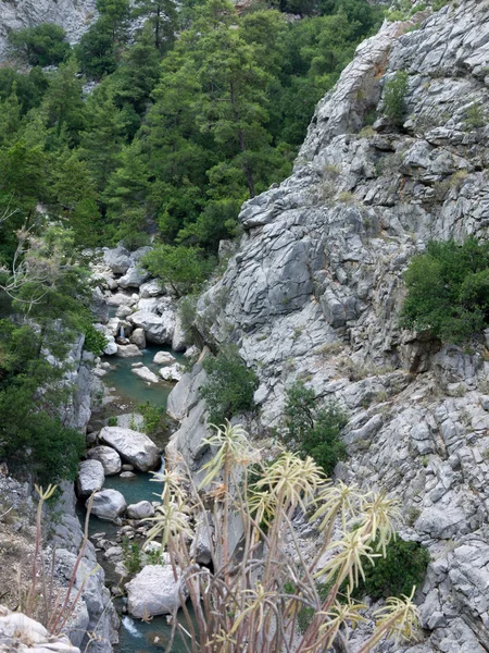 Turecko Antalya Kemer Řeka Národní Goynuk Canyon — Stock fotografie