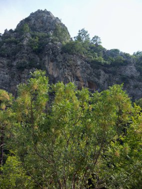 Türkiye'nin Antalya Kemer. Göynük Kanyonu Milli ağaçlarda dağlarla rezerv