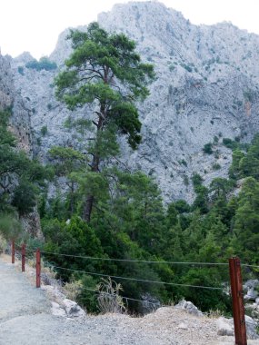 Antalya Göynük Kanyonu. Ağaçlar çam Ulusal Rezerv ile güzel dağ