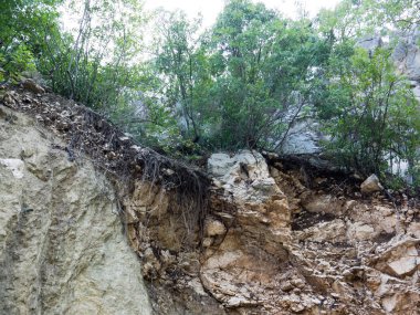 Antalya Göynük Kanyonu. Ulusal yedekte ağaçlarıyla güzel dağ