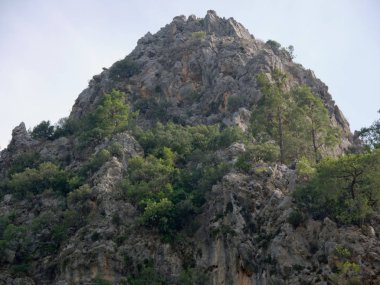 Türkiye'nin Antalya Kemer. Göynük Kanyonu Milli ağaçlarda dağlarla rezerv