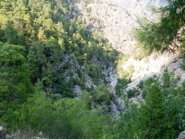 Turecko Antalya Kemer Řeka Národní Goynuk Canyon — Stock fotografie
