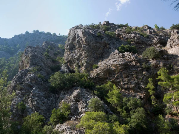 Turecko Antalya Kemer Hory Stromy Národní Rezervaci Goynuk Canyon — Stock fotografie