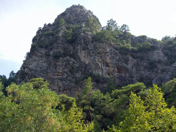 Turkiet Antalya Kemer Berg Med Träd Nationella Reserv Goynuk Canyon — Stockfoto