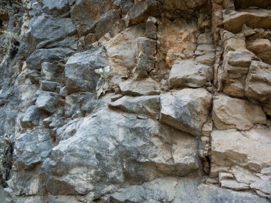 Güzel dağ Ulusal dokusuna rezerv Göynük Kanyonu