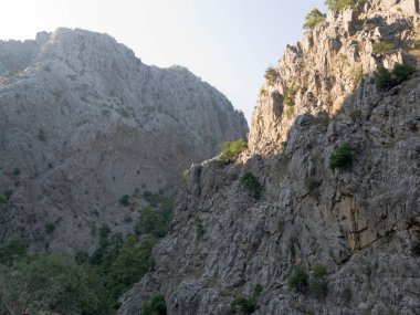 Türkiye'nin Antalya Kemer. Göynük Kanyonu Milli ağaçlarda dağlarla rezerv