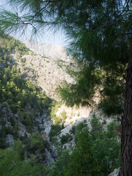Turecko Antalya Kemer Řeka Národní Goynuk Canyon — Stock fotografie