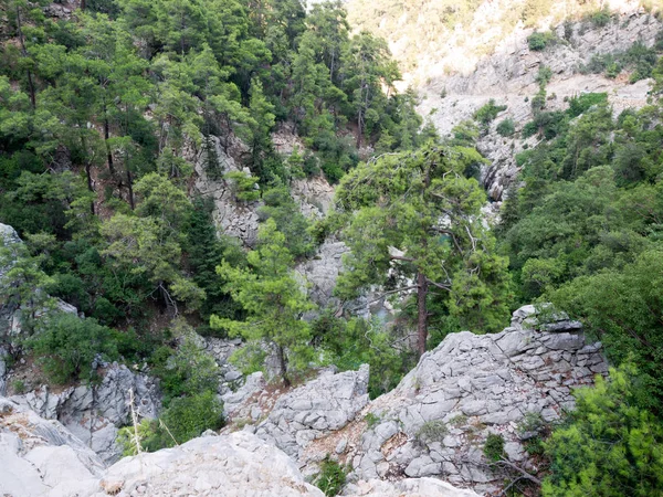 Turkije Antalya Kemer Rivier Nationale Reserve Vence Canyon — Stockfoto