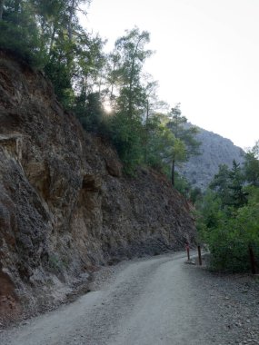 Ahşap masa beyaz arka plan üzerinde boş sepet