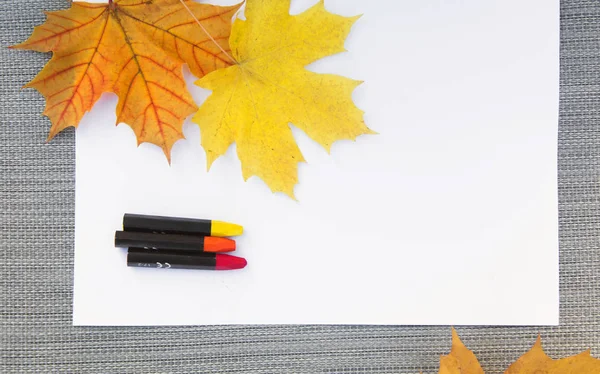 Bílý list papíru s podzimním javorovým listím a barevnými tužkami. Leží na šedém — Stock fotografie