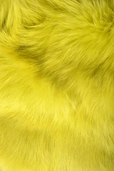 Texture de fond de fourrure de lapin couleur jaune . — Photo