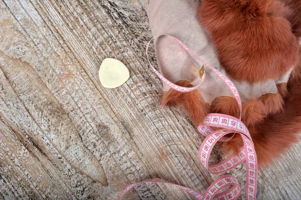 茶色のウサギの毛皮のための縫製、センチメートルと木製の背景にチョーク. — ストック写真