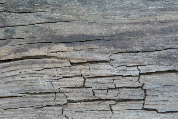 Eski gri çatlamış tahtanın dokusu — Stok fotoğraf