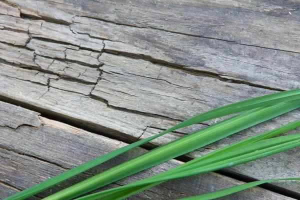 Grama verde em um fundo de placa de madeira velha — Fotografia de Stock
