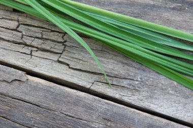 Eski ahşap bir arka planda yeşil çimen