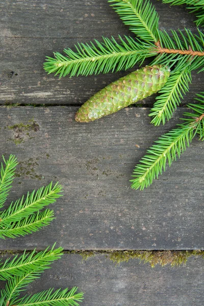 Green spruce branch with a cone on the wooden background — Stock Photo, Image