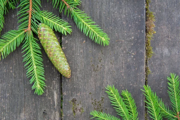 Green spruce branch with a cone on the wooden background — Stock Photo, Image