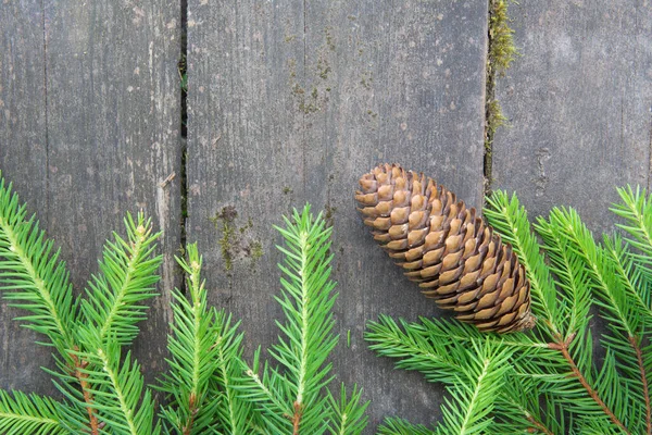 Green spruce branch with a cone on the wooden background — Stock Photo, Image