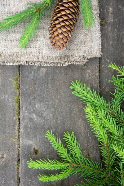 Green spruce branch with a cone on the wooden background with burlap — Stock Photo, Image