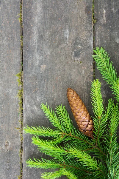 Zielona gałąź świerkowa z stożkiem na drewnianym tle — Zdjęcie stockowe