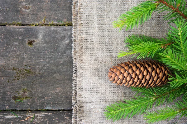 Green spruce branch with a cone on the wooden background with burlap — Stock Photo, Image