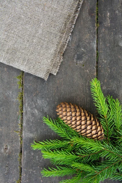 Green spruce branch with a cone on the wooden background with burlap — Stock Photo, Image