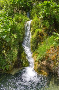 Plitvice Gölleri'nin kristal suyu. Manzaralar ve şelaleler.