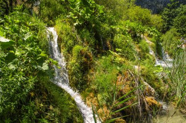 Plitvice Gölleri'nin kristal suyu. Manzaralar ve şelaleler.