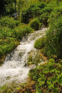 Plitvice Gölleri'nin kristal suyu. Manzaralar ve şelaleler.