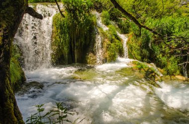 Plitvice Gölleri'nin kristal suyu. Manzaralar ve şelaleler.