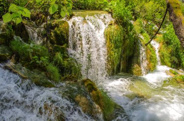 Plitvice Gölleri'nin kristal suyu. Manzaralar ve şelaleler.