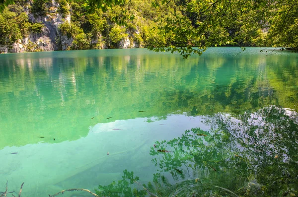 Kristallwasser Von Plitvicer Seen Landschaften Und Wasserfälle — Stockfoto