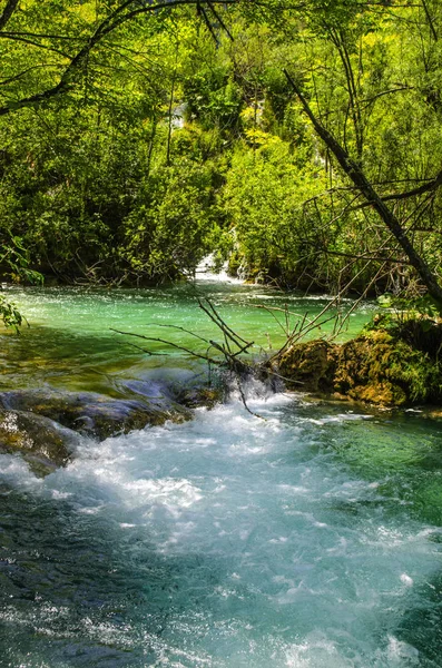 Plitvice Gölleri'nin kristal suyu. Manzaralar ve şelaleler.