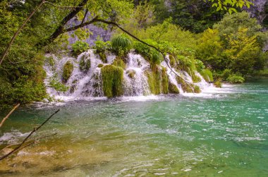 Plitvice Gölleri lüks ve çalkantılı şelaleler, Hırvatistan