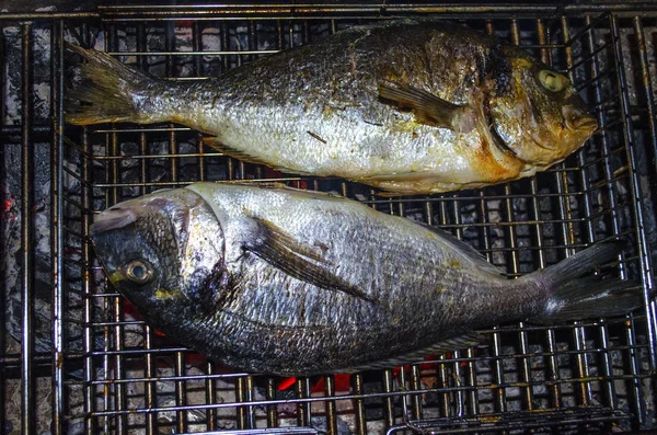 Due Pesci Grigliati Appena Pescati — Foto Stock