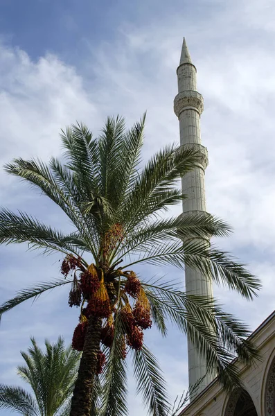 Manavgat'ta dört minaresi olan cami, Türkiye